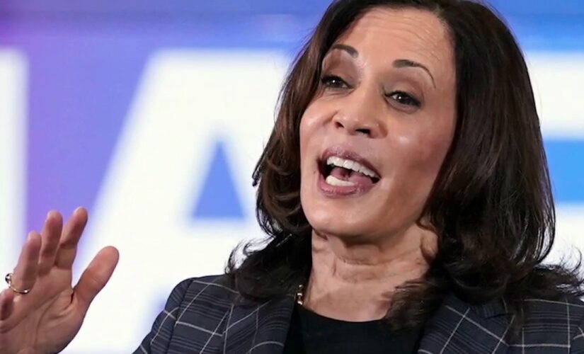 Kamala Harris should have visited border, not Milwaukee, Sen. Johnson and other Wisconsin Republicans say