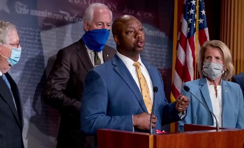 MSNBC’s Tiffany Cross blasts Tim Scott as ‘token’ and ‘clown’