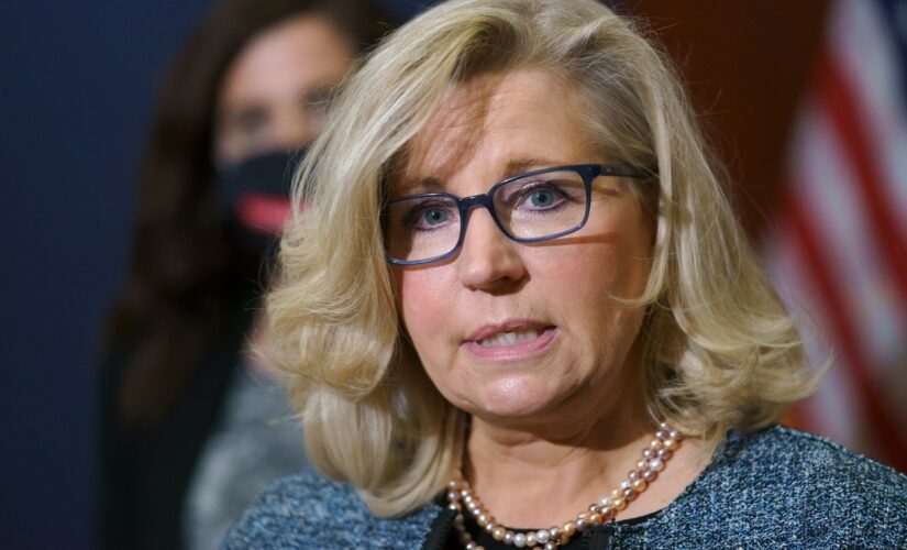Liz Cheney removed from leadership for distracting from party’s message for 2022: Schlapp