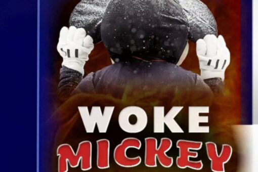 Chris Rufo: Once great Disney is telling America it’s ‘fundamentally racist,’ ‘founded on discrimination’