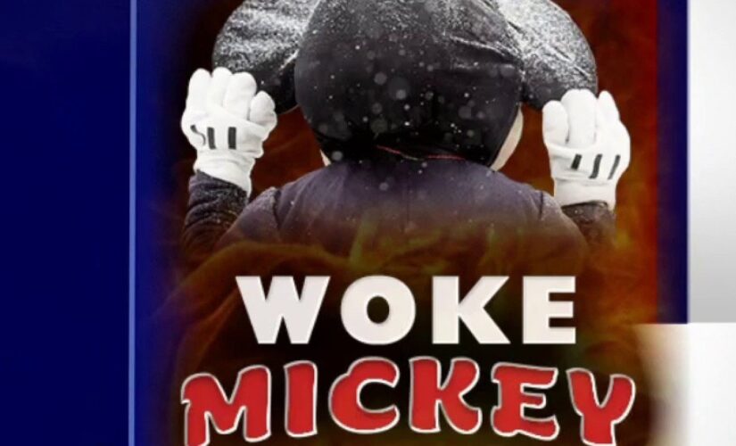 Chris Rufo: Once great Disney is telling America it’s ‘fundamentally racist,’ ‘founded on discrimination’