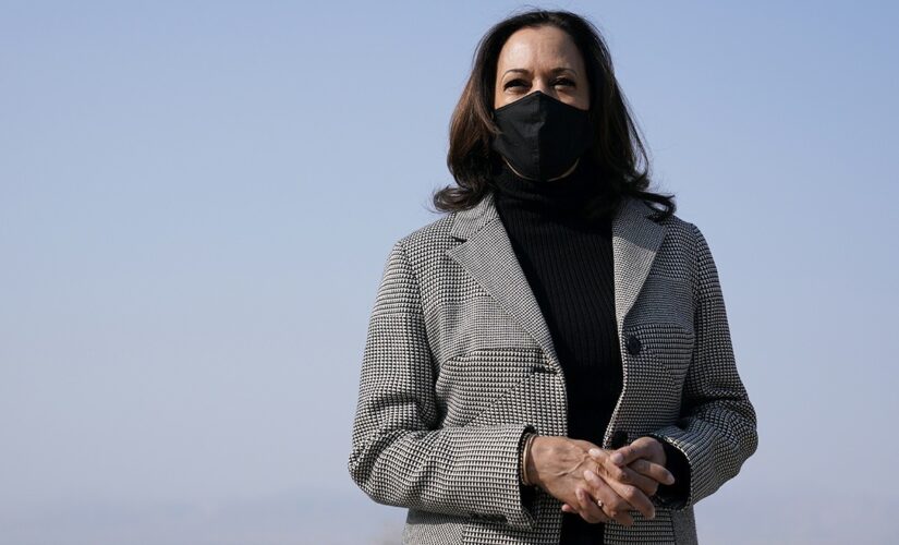 Harris claims lack of ‘climate adaptation and climate resilience’ part of root causes of migrant crisis