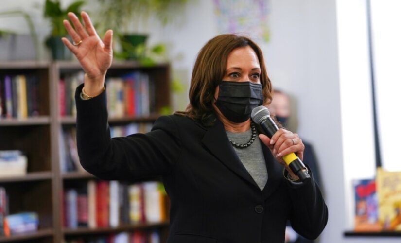 Kamala Harris calls for ‘immediate relief’ for Northern Triangle in virtual meeting with Mexican president