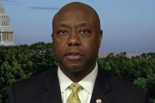 Tim Scott: ‘Defund the police’ is ‘dumbest’ thing I’ve heard in my life