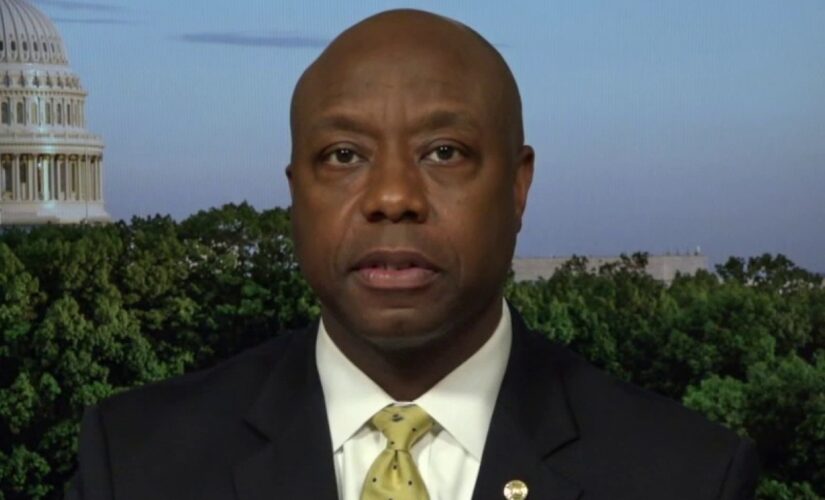 Tim Scott: ‘Defund the police’ is ‘dumbest’ thing I’ve heard in my life