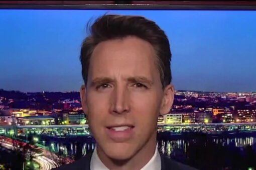 Hawley: Left wants to ‘combine the power of government and the power of’ Big Tech corporations