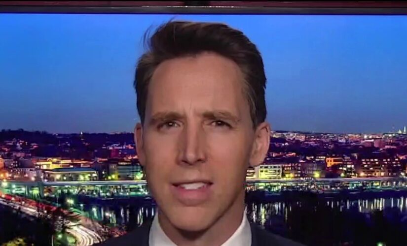 Hawley: Left wants to ‘combine the power of government and the power of’ Big Tech corporations