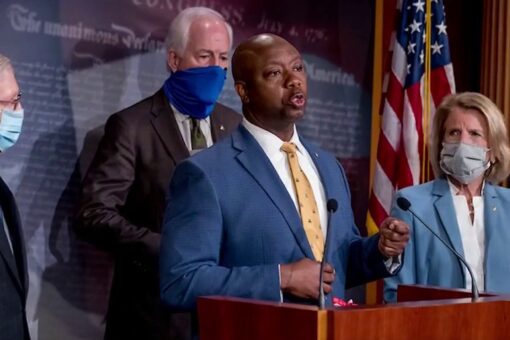 MSNBC’s Tiffany Cross blasts Tim Scott as ‘token’ and ‘clown’