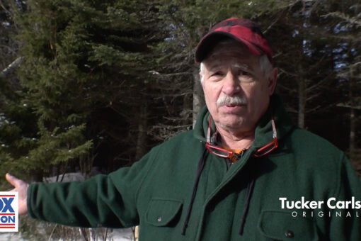 Foreign companies could make millions, while destroying Maine’s forest in the name of green energy