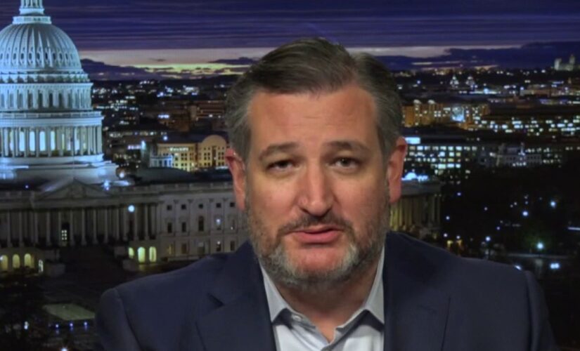 Cruz vows to ‘lead the fight’ against Democrats’ election bill, which he calls the ‘Corrupt Politicians Act’