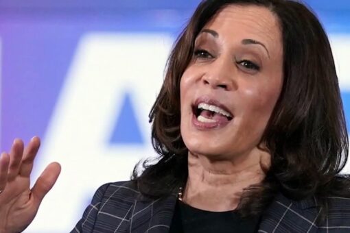 Kamala Harris should have visited border, not Milwaukee, Sen. Johnson and other Wisconsin Republicans say