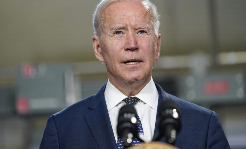 Biden reacts to weak jobs report, says US ‘still digging out of an economic collapse,’ but on ‘right track’