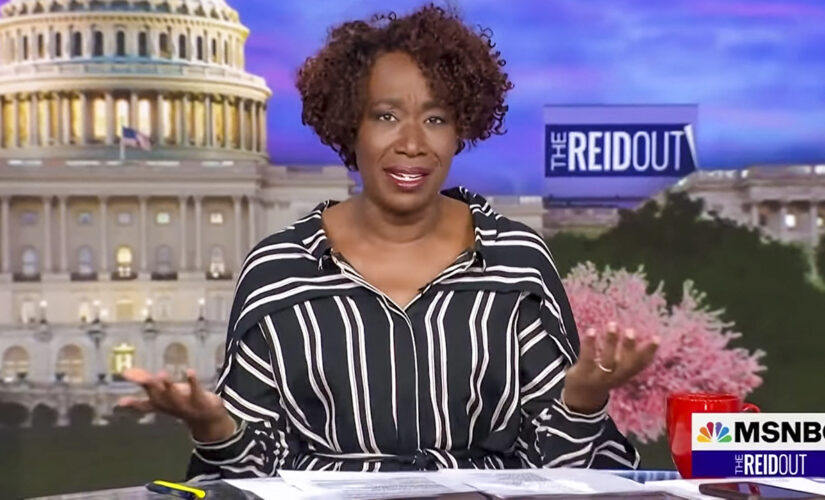 MSNBC’s Joy Reid mocks parents who say opposing critical race theory doesn’t make them racist: ‘It does’