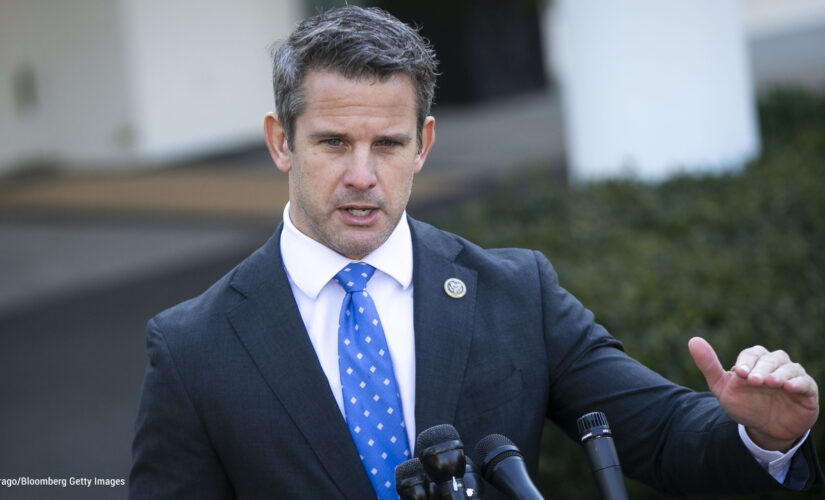 Kinzinger defends Liz Cheney, says McCarthy ignored warnings about Jan. 6 violence