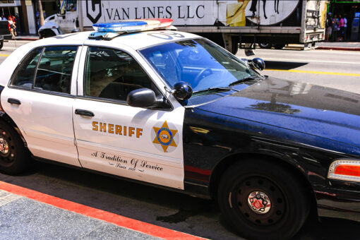 Video shows driver calling deputy a ‘murderer’ in racist attack during traffic stop: ‘You’ll never be White’