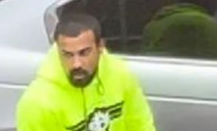 New York suspect allegedly attacks father, son after they accidentally sideswipe car: report