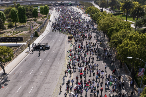 ‘Free Palestine’ demonstrators block traffic in Los Angeles: ‘Long live infitada’
