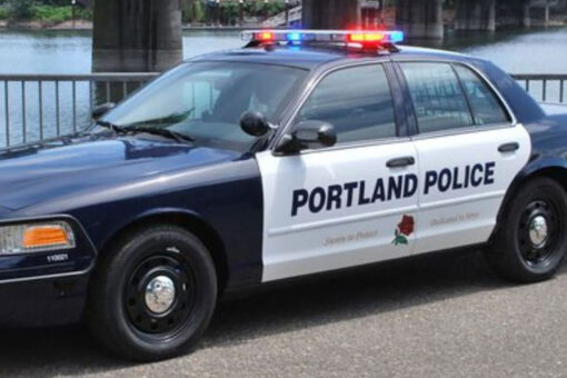 Portland driver confronted by armed group in broad daylight, shocking video shows