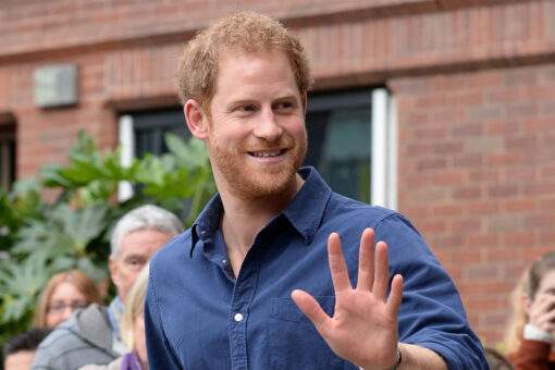 Prince Harry compares royal life to ‘The Truman Show’ and ‘living in a zoo’