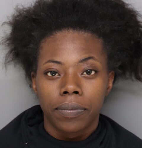 Ohio woman charged after allegedly driving around railroad gate with kids in car, getting hit by train