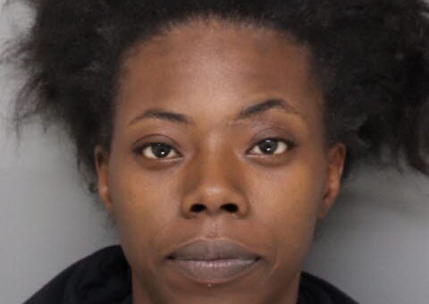 Ohio woman charged after allegedly driving around railroad gate with kids in car, getting hit by train