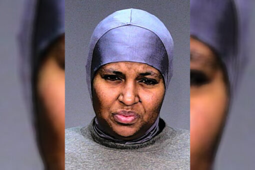 Minnesota mom charged with attempted murder in alleged attack on her children