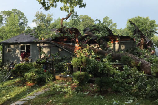 Severe storms across mid-Atlantic, Northeast knock out power, injure 5: reports