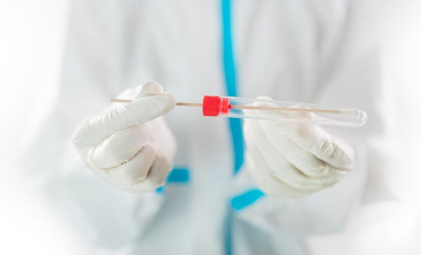 Scientists find new human coronavirus that originated in dogs: report