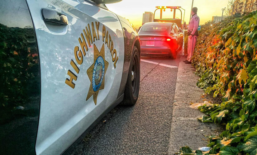 California police arrest backseat Tesla ‘driver’