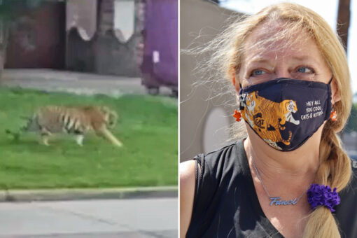 Carole Baskin offering $5,000 reward for info leading to missing tiger in Texas
