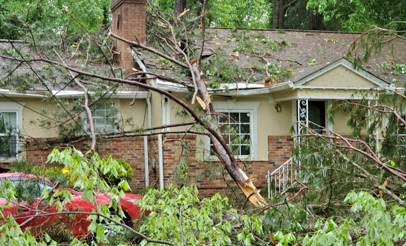 South Carolina tornado spotted after 1 person dead in Georgia storm: report