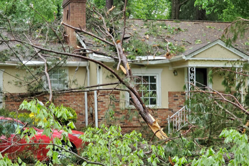 South Carolina tornado spotted after 1 person dead in Georgia storm: report