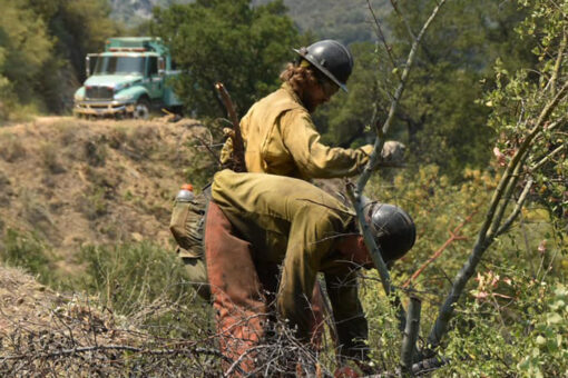 ‘Fire monks’ ready to defend monastery from Big Sur blaze