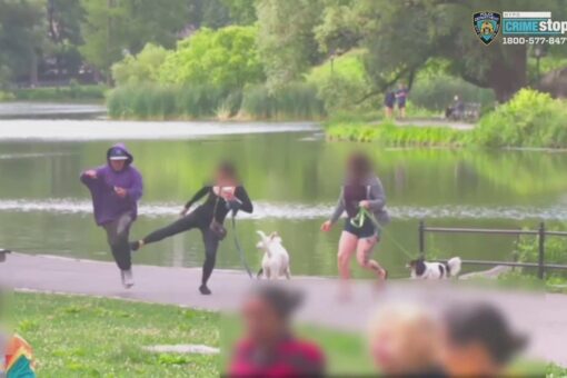 NYPD hunt for man who mugged victim in Central Park in broad daylight