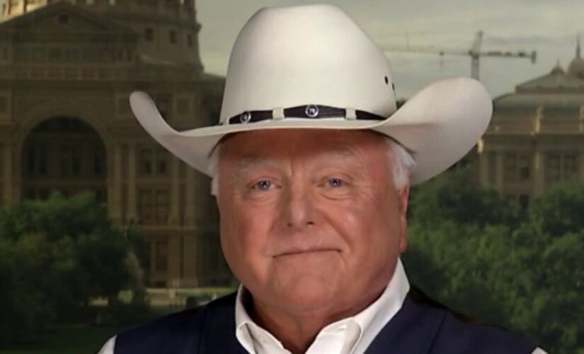 Texas agriculture commissioner criticizes Gov. Abbott’s border response: Should have acted ‘six months ago’