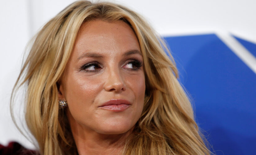 Britney Spears’ ex says she wants a baby girl, but is being forced to work: ‘I will testify’