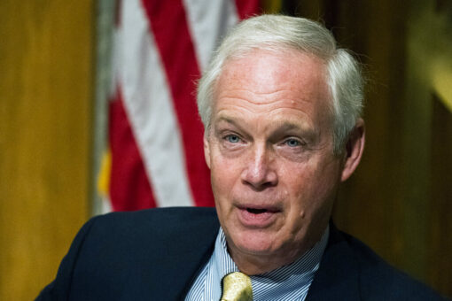 Sen. Johnson warns of ‘unequal application of justice’ as Capitol riot suspects sit in jail, vs Antifa, BLM
