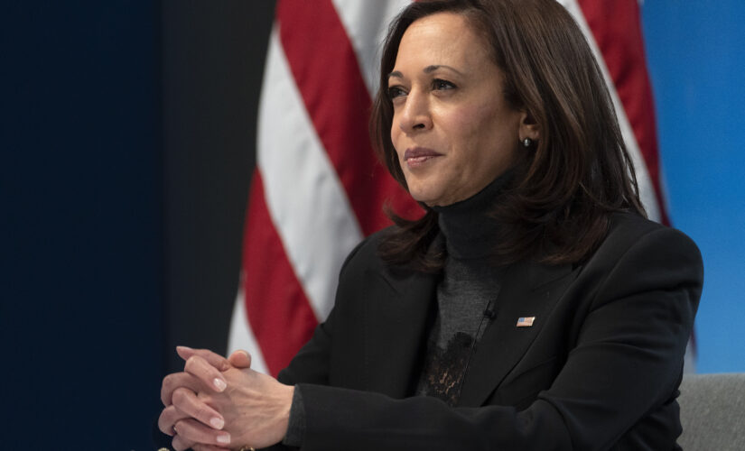 Twitter mocks Kamala Harris for passing out cookies of her faceless head to reporters