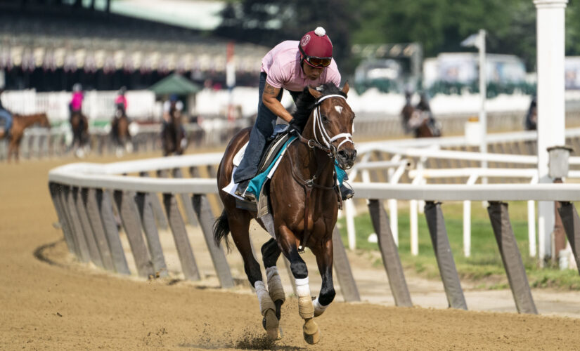 Belmont Stakes: New York a standard-setter on medications