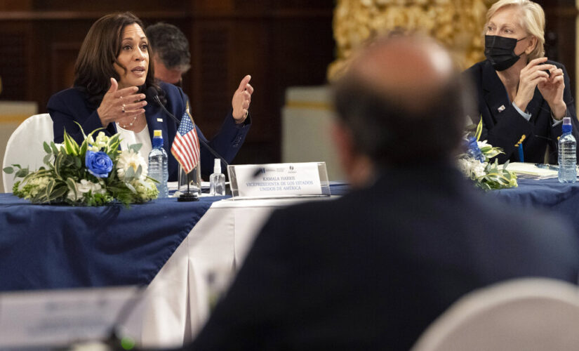 Harris tells Guatemalan president that migration is a top priority, after he blames US for surge