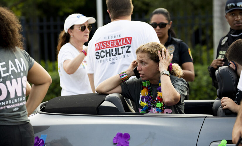 Florida Rep. Wasserman Schultz nearly struck in Pride parade crash that kills at least 1: reports