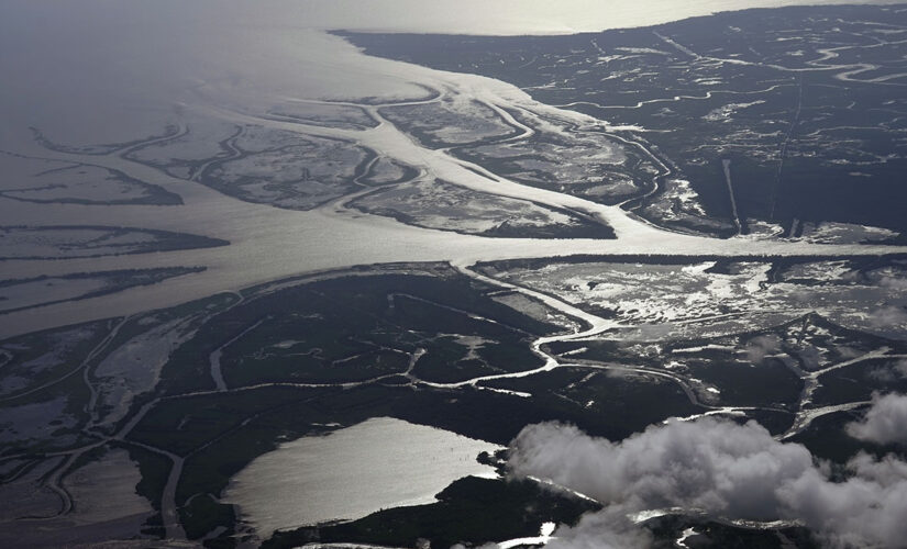 NASA studies Louisiana delta system in effort to combat global climate change