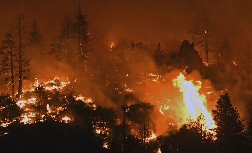 Police shoot, kill California man near marijuana farms evacuated by fire