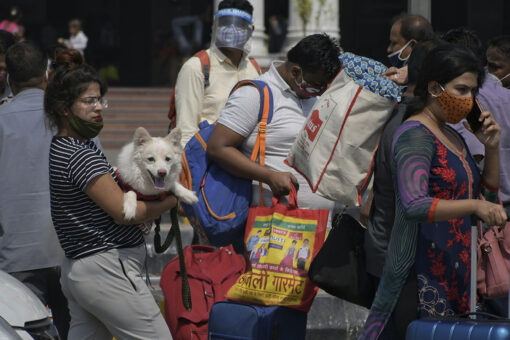 India cautiously starts to open up as coronavirus cases decline