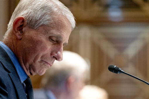 Fauci: Are you saying we’re implicated over $120K a year for bat surveillance?