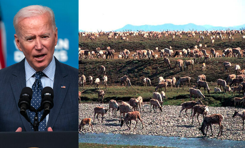 Biden blasted for suspending oil-drilling leases in Alaska: ‘Political football’