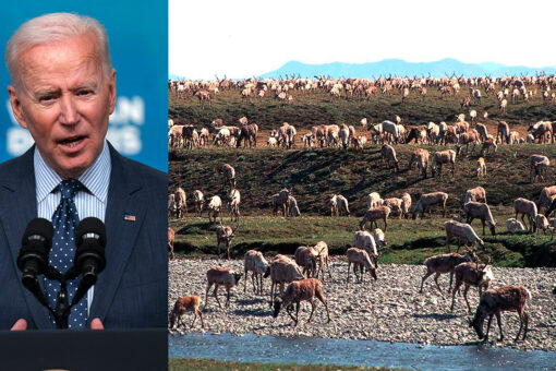 Biden blasted for suspending oil-drilling leases in Alaska: ‘Political football’