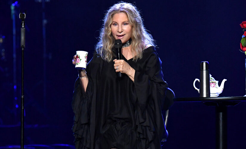 Barbra Streisand slams GOP for wanting an ‘authoritarian state’ over voting rules