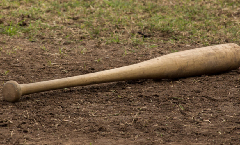 Kentucky Little League game results in possible charges after confrontations: report