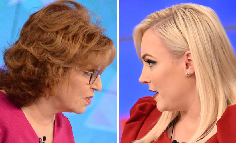Joy Behar stuns Meghan McCain with ‘inappropriate joke’ about first openly gay NFL player